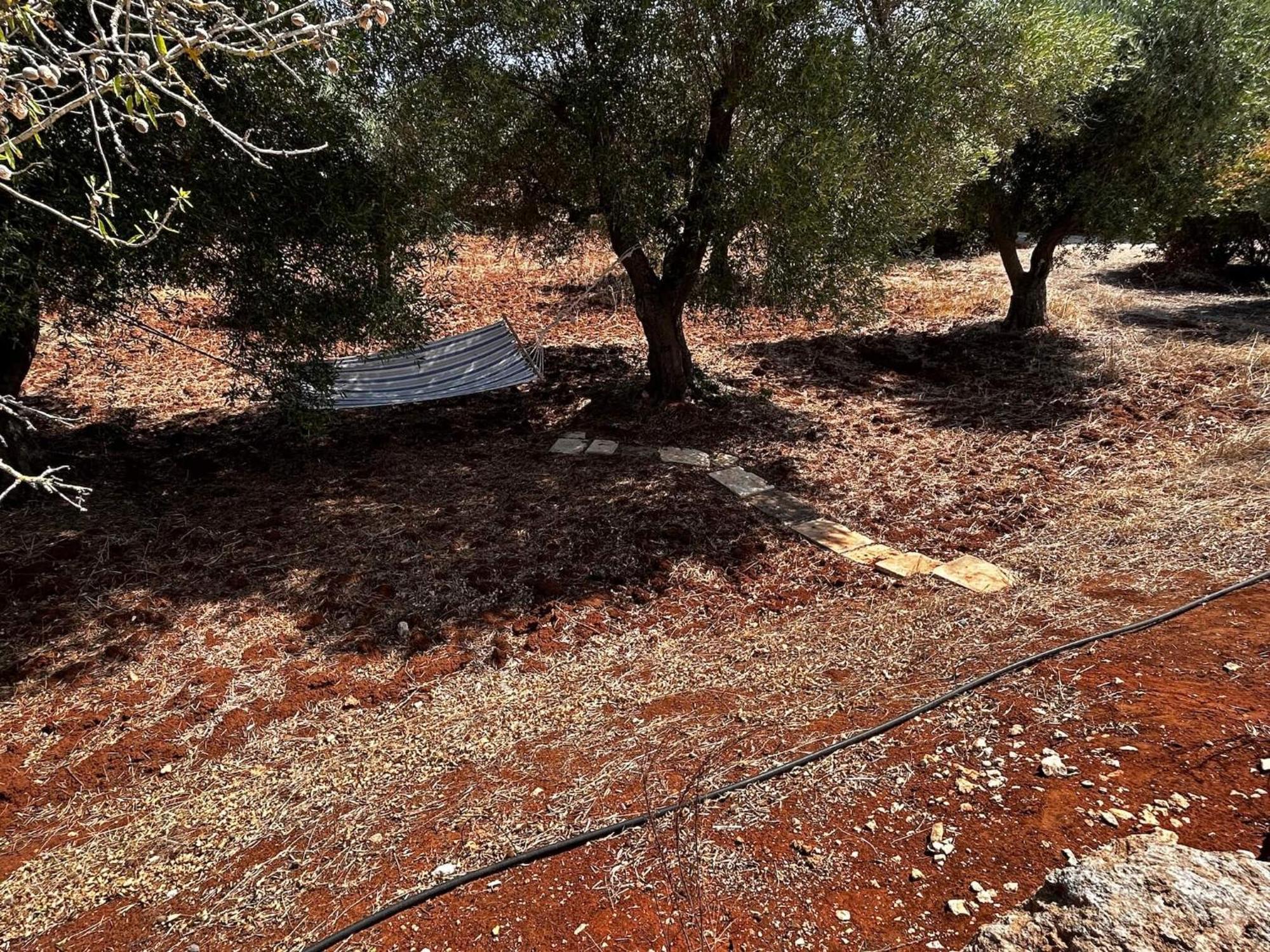 Traditional Trullo With Private Pool Near Ostuni Villa ภายนอก รูปภาพ